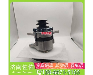 合肥4280005645起动机20409228发电机 斗山 DB/DL WP4.6 锡柴 CA4DF 斗山｜DX215｜DB58 卡特 336D2 C13 玉柴 YCK05 潍柴 WP2.3 启动机